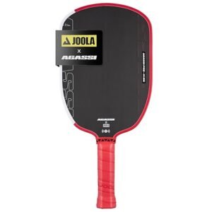 Joola Aggasi Pickle Paddle